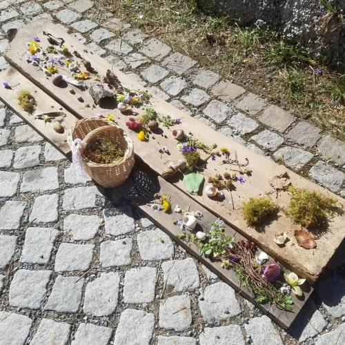 Frühling