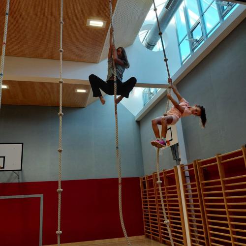 Leiter im Turnsaal 4