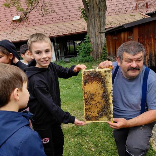Bienen! Bienen!