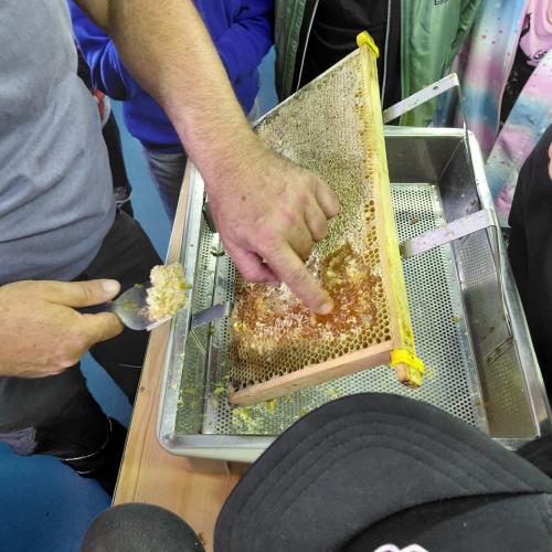 Bienen! Bienen!