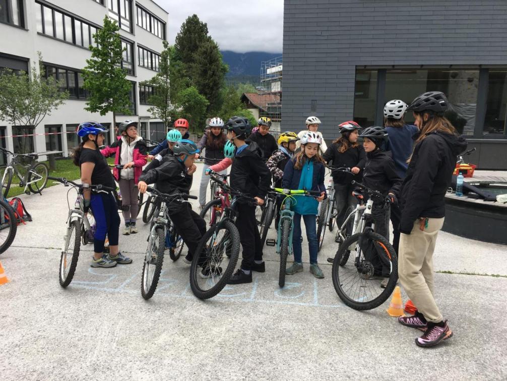 Radlworkshop