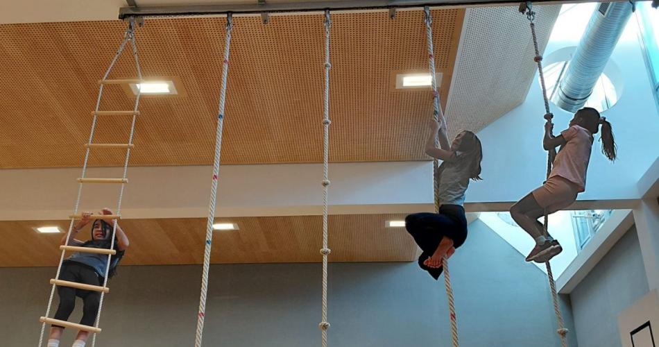 Leiter im Turnsaal 3